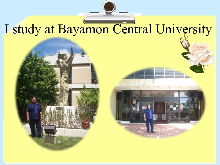 I study at Bayamon Central University 