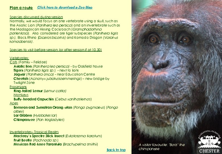 Plan a route Click here to download a Zoo Map Species discussed during session