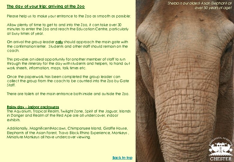 Sheba is our oldest Asian Elephant at over 50 years of age! The day