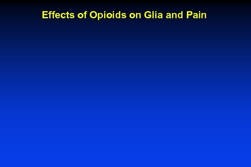 Effects of Opioids on Glia and Pain 