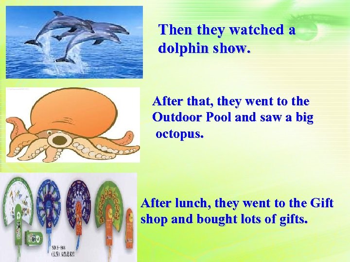 Then they watched a dolphin show. After that, they went to the Outdoor Pool