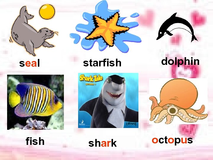 seal fish starfish shark dolphin octopus 