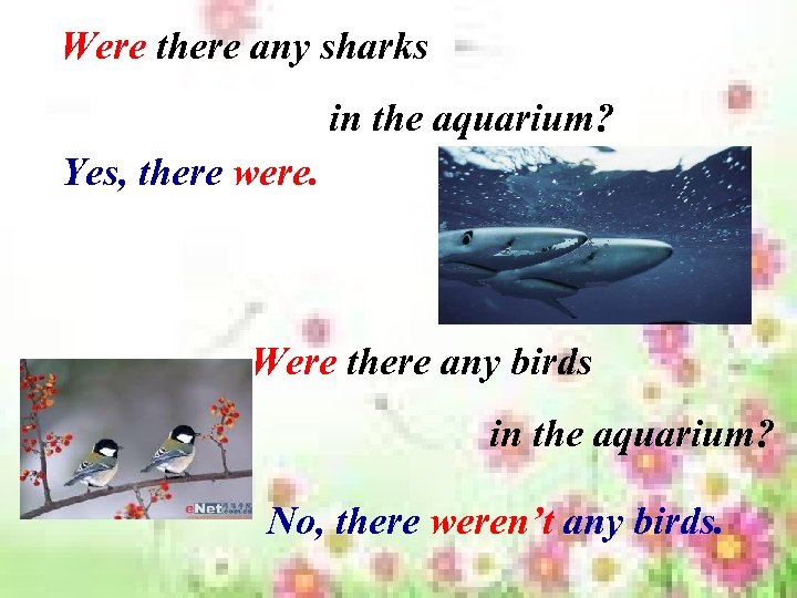 Were there any sharks in the aquarium? Yes, there were. Were there any birds
