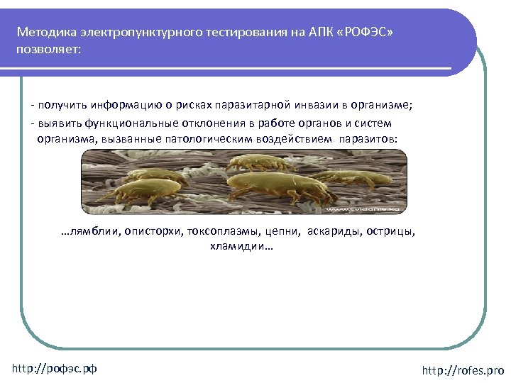 Методика электропунктурного тестирования на АПК «РОФЭС» позволяет: - получить информацию о рисках паразитарной инвазии
