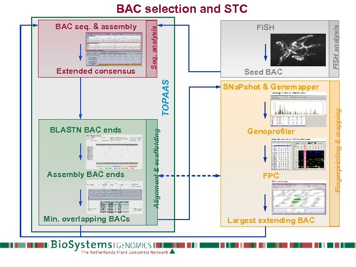 Seed BAC Assembly BAC ends Min. overlapping BACs SNa. Pshot & Genemapper Genoprofiler FPC