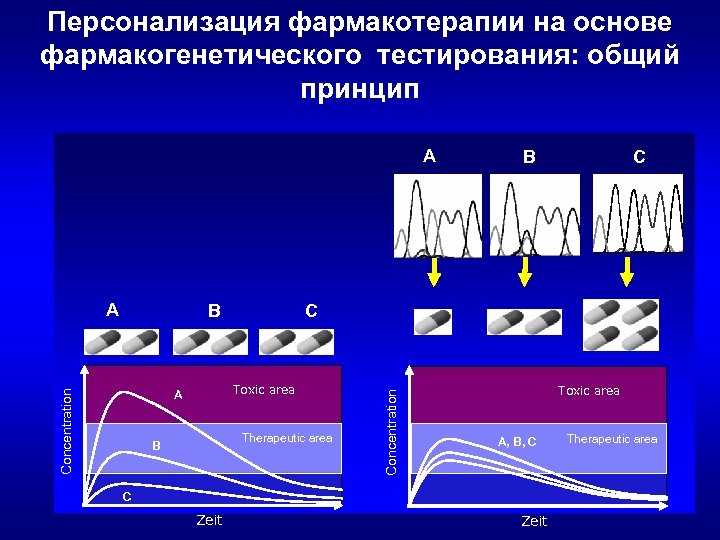 Персонализация фармакотерапии на основе фармакогенетического тестирования: общий принцип A B Toxic area Concentration A
