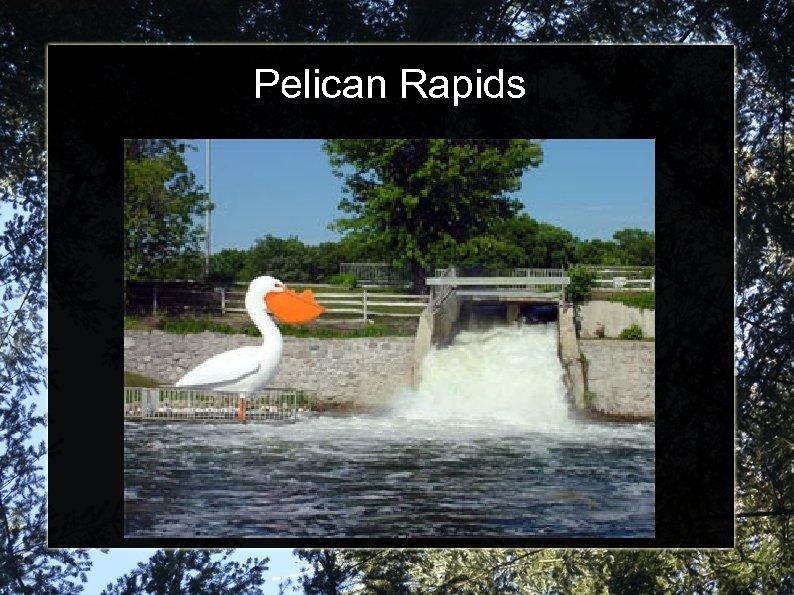 Pelican Rapids 