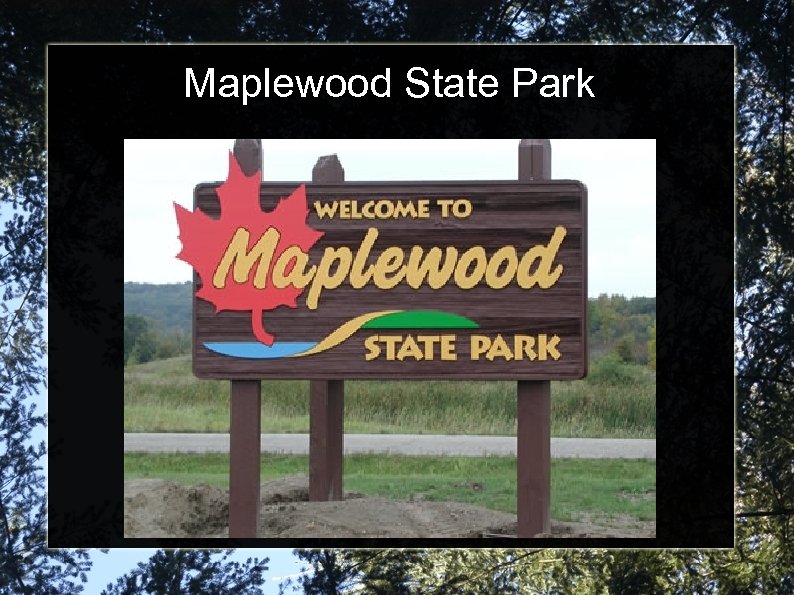 Maplewood State Park 