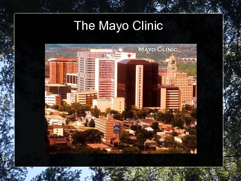 The Mayo Clinic 