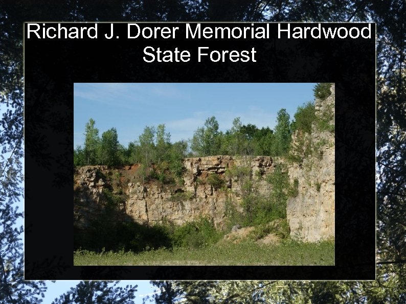 Richard J. Dorer Memorial Hardwood State Forest 