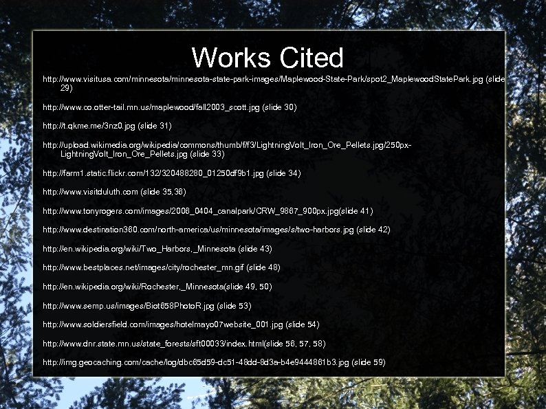 Works Cited http: //www. visitusa. com/minnesota-state-park-images/Maplewood-State-Park/spot 2_Maplewood. State. Park. jpg (slide 29) http: //www.