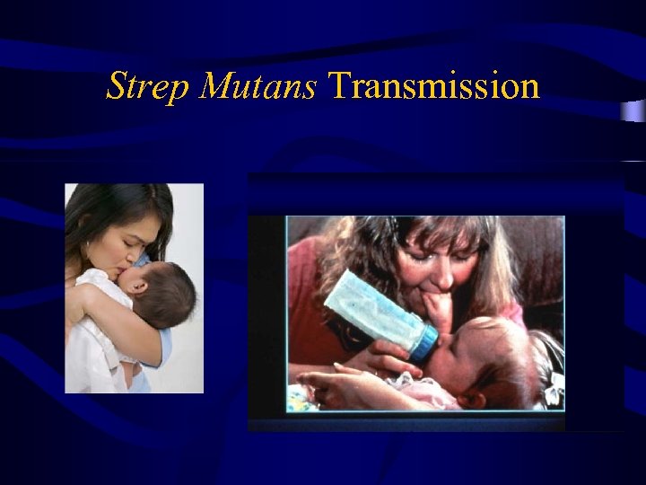 Strep Mutans Transmission 