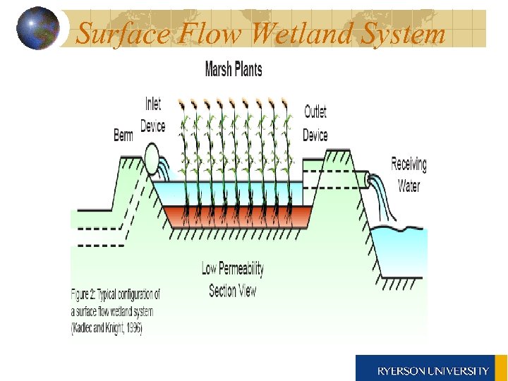 Surface Flow Wetland System 
