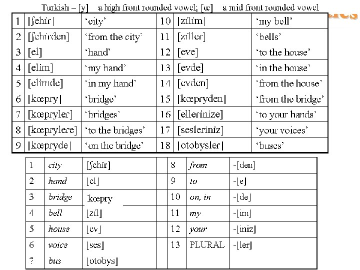 Morphology Practice 8 Ch 4 Morphology 