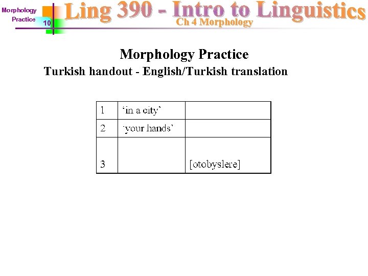 Morphology Practice 10 Ch 4 Morphology Practice Turkish handout - English/Turkish translation 