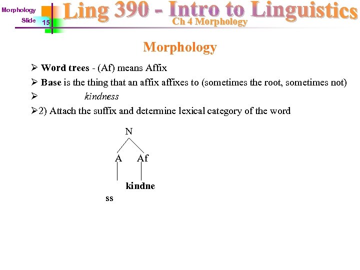 Morphology Slide Ch 4 Morphology 15 Morphology Ø Word trees - (Af) means Affix