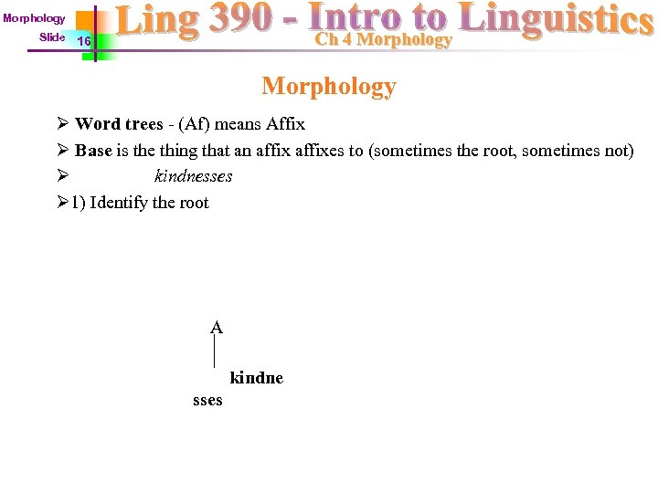 Morphology Slide Ch 4 Morphology 16 Morphology Ø Word trees - (Af) means Affix