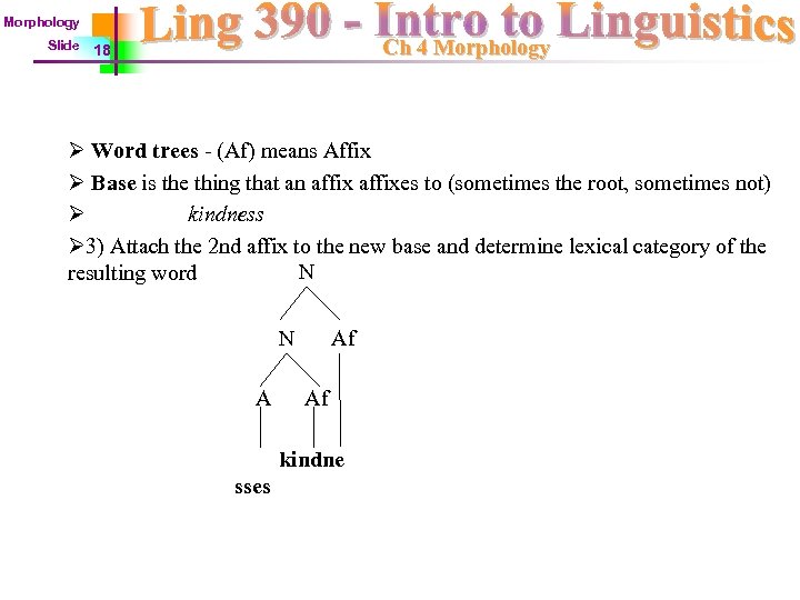 Morphology Slide Ch 4 Morphology 18 Ø Word trees - (Af) means Affix Ø