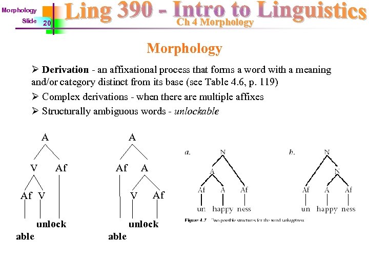 Morphology Slide Ch 4 Morphology 20 Morphology Ø Derivation - an affixational process that