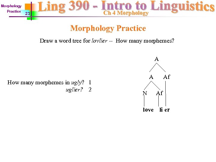 Morphology Practice Ch 4 Morphology 23 Morphology Practice Draw a word tree for lovlier