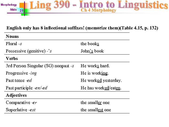 Morphology Slide 25 Ch 4 Morphology English only has 8 inflectional suffixes! (memorize them)(Table