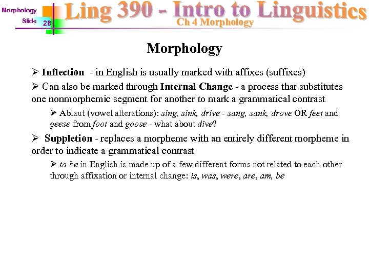Morphology Slide 28 Ch 4 Morphology Ø Inflection - in English is usually marked