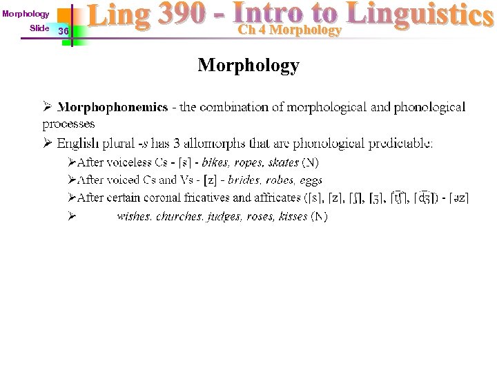 Morphology Slide 36 Ch 4 Morphology 