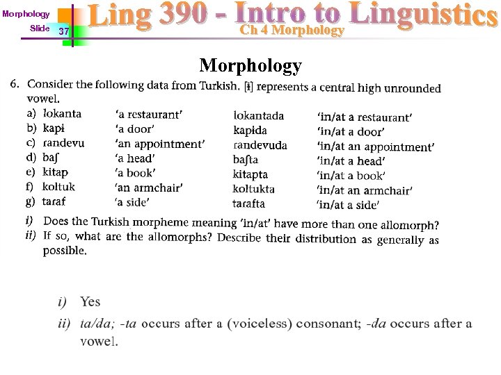 Morphology Slide 37 Ch 4 Morphology 