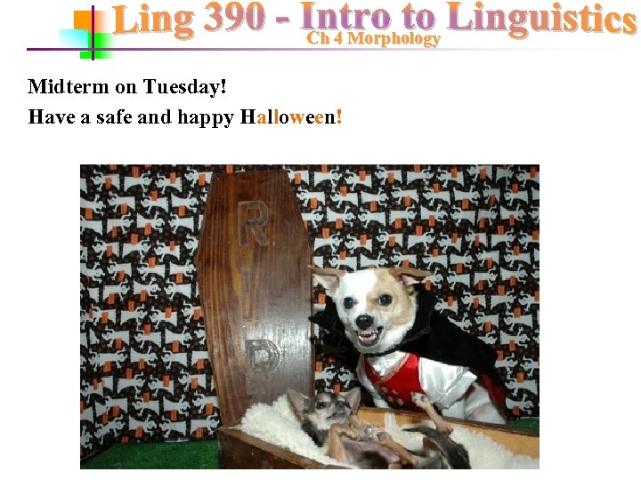 Ch 4 Morphology Midterm on Tuesday! Have a safe and happy Halloween! 