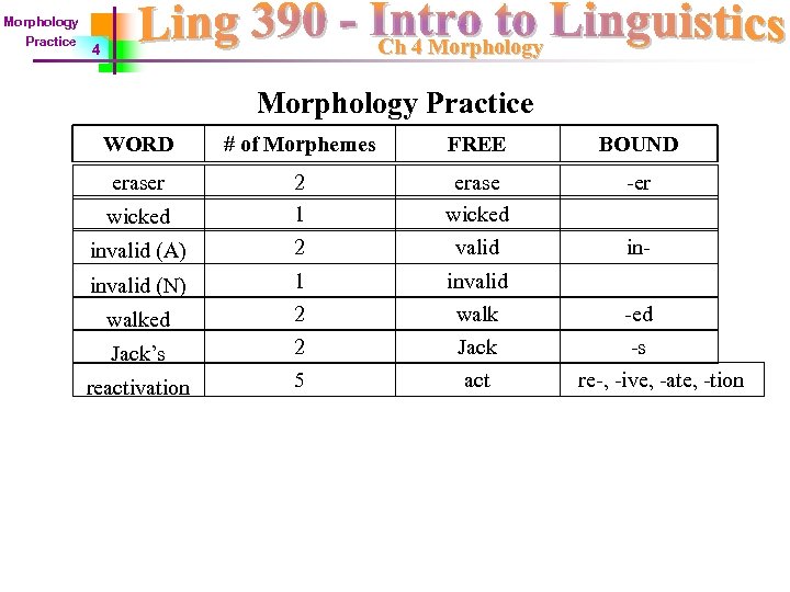 Morphology Practice Ch 4 Morphology Practice WORD # of Morphemes FREE BOUND eraser 2