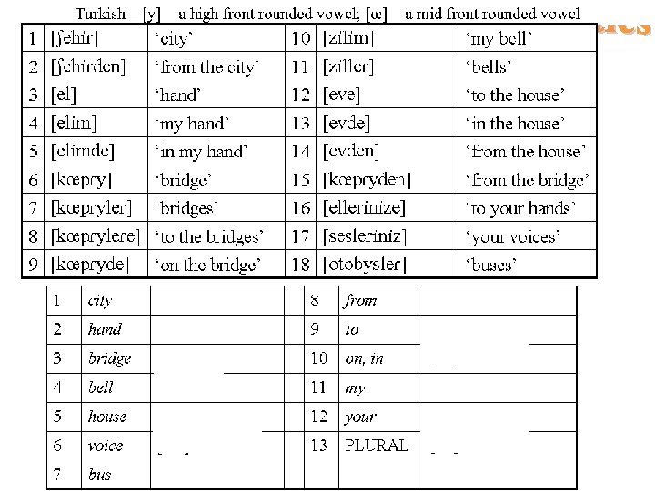 Morphology Practice 8 Ch 4 Morphology 