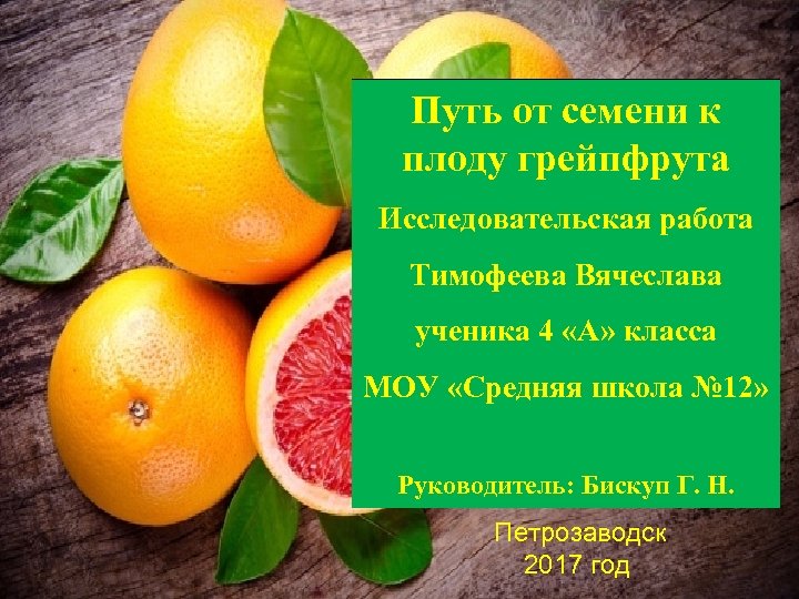 Грейпфрут польза для организма мужчины. Загадка про грейпфрут. Сообщение о грейпфруте. Сообщение о грейпфруте 2 класс кратко. Описание грейпфрута и характеристика.