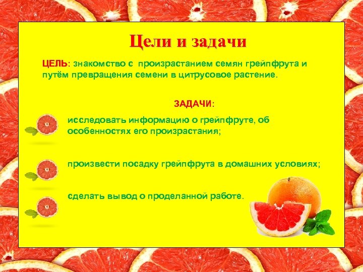 Цели и задачи ЦЕЛЬ: знакомство с произрастанием семян грейпфрута и путём превращения семени в