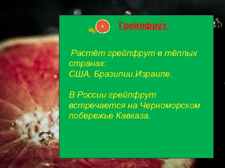 Грейпфру т Растёт грейпфрут в тёплых странах: США, Бразилии, Израиле. В России грейпфрут встречается
