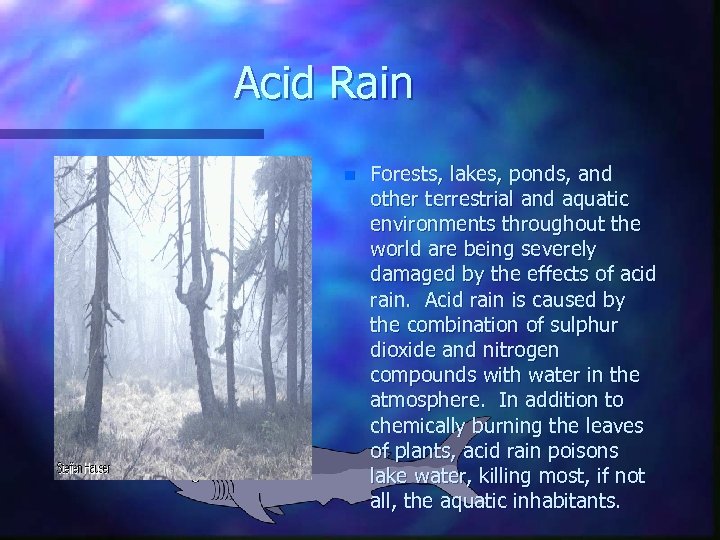 Acid Rain n Forests, lakes, ponds, and other terrestrial and aquatic environments throughout the