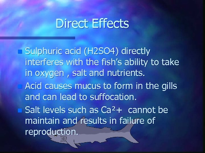Direct Effects Sulphuric acid (H 2 SO 4) directly interferes with the fish’s ability