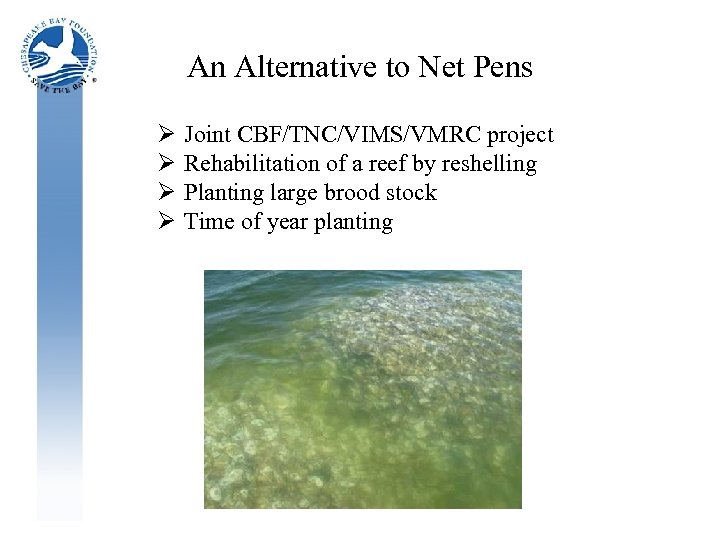 An Alternative to Net Pens Ø Ø Joint CBF/TNC/VIMS/VMRC project Rehabilitation of a reef