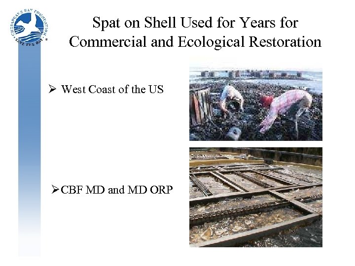 Spat on Shell Used for Years for Commercial and Ecological Restoration Ø West Coast