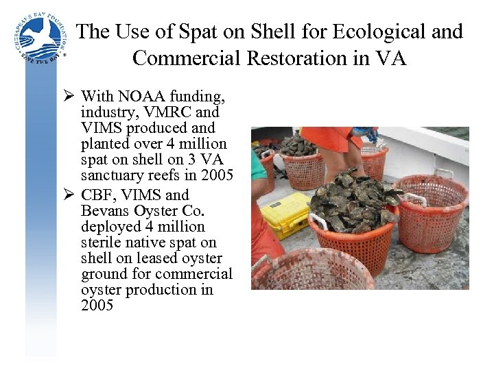 The Use of Spat on Shell for Ecological and Commercial Restoration in VA Ø