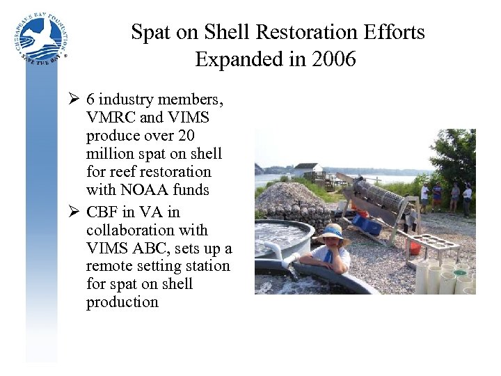 Spat on Shell Restoration Efforts Expanded in 2006 Ø 6 industry members, VMRC and