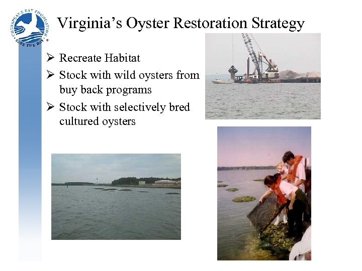 Virginia’s Oyster Restoration Strategy Ø Recreate Habitat Ø Stock with wild oysters from buy