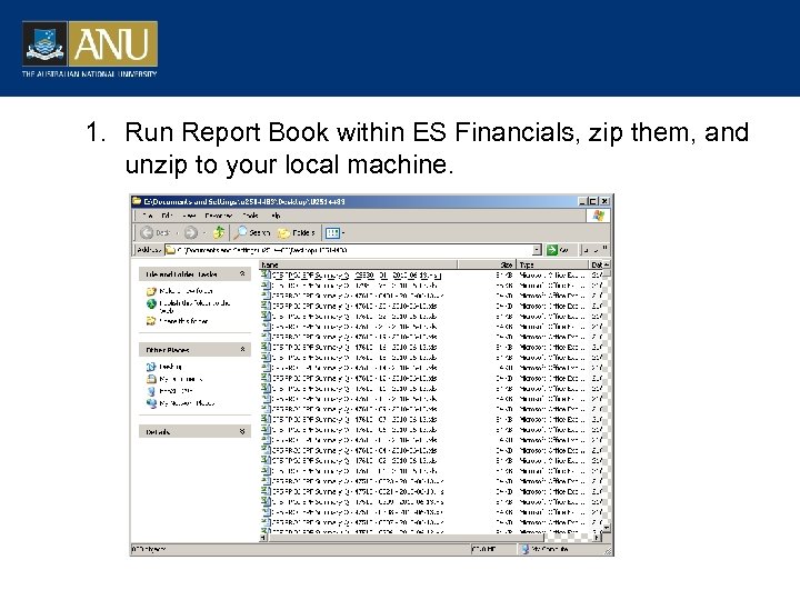 1. Run Report Book within ES Financials, zip them, and unzip to your local