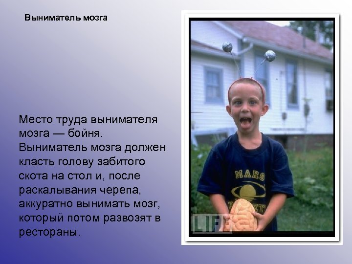 Выниматель мозга Место труда вынимателя мозга — бойня. Выниматель мозга должен класть голову забитого
