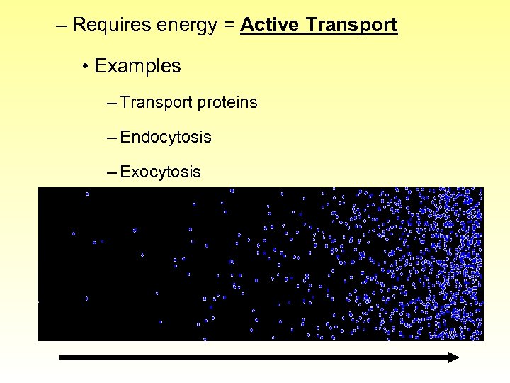 – Requires energy = Active Transport • Examples – Transport proteins – Endocytosis –