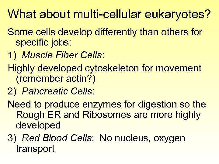 What about multi-cellular eukaryotes? Some cells develop differently than others for specific jobs: 1)