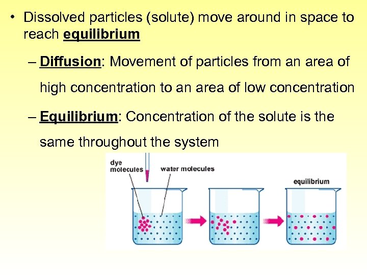  • Dissolved particles (solute) move around in space to reach equilibrium – Diffusion: