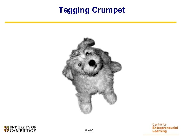 Tagging Crumpet Slide 60 