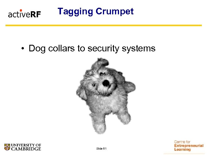 Tagging Crumpet • Dog collars to security systems Slide 61 