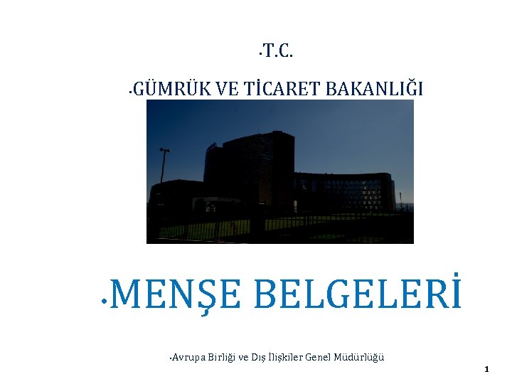  • • • T. C. GÜMRÜK VE TİCARET BAKANLIĞI MENŞE BELGELERİ Avrupa Birliği