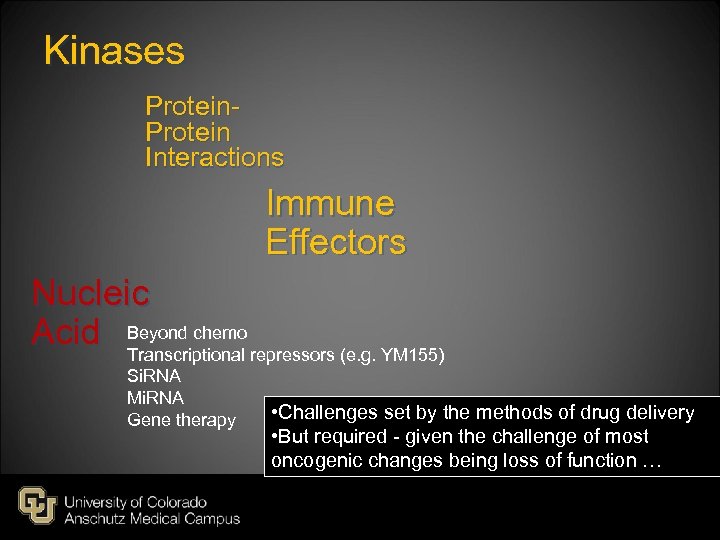 Kinases Protein Interactions Immune Effectors Nucleic Acid Beyond chemo repressors (e. g. YM 155)